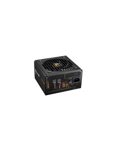 COUGAR GEX PRO 850 PSU